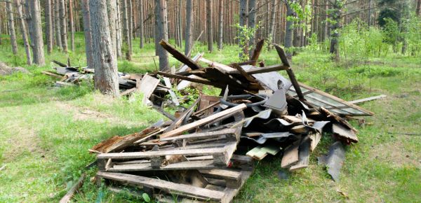 Debris Removal Service in Sandy