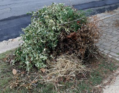 Yard Waste Pickup
